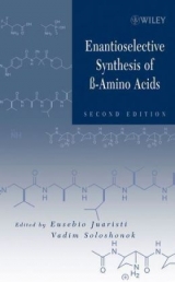 Enantioselective Synthesis of Beta-Amino Acids - Juaristi, Eusebio; Soloshonok, Vadim A.