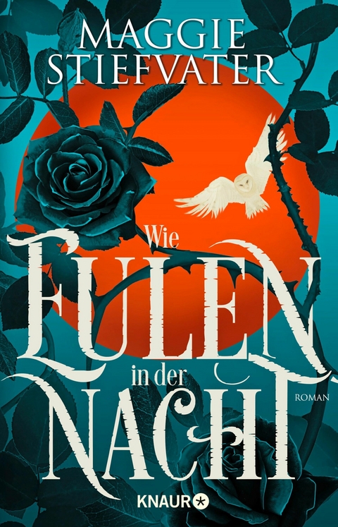 Wie Eulen in der Nacht -  Maggie Stiefvater