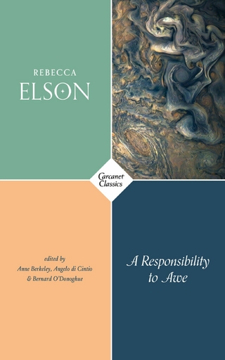A Responsibility to Awe - Rebecca Elson; Anne Berkeley; Angelo Di Cintio; Bernard O'Donoghue
