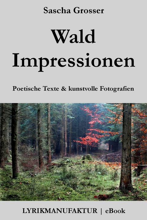 Wald Impressionen -  Sascha Grosser