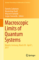Macroscopic Limits of Quantum Systems - 