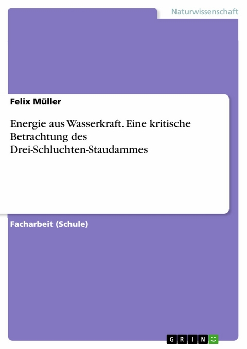 Energie aus Wasserkraft. Eine kritische Betrachtung des Drei-Schluchten-Staudammes - Felix Müller