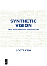 Synthetic Vision -  Scott Krig