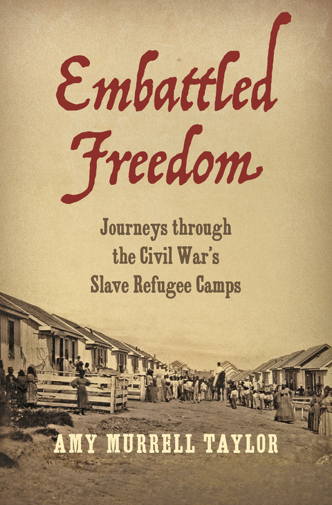 Embattled Freedom - Amy Murrell Taylor