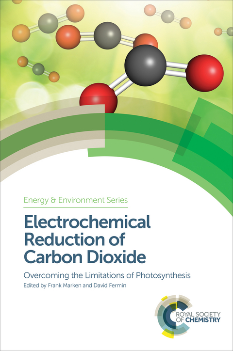 Electrochemical Reduction of Carbon Dioxide - 