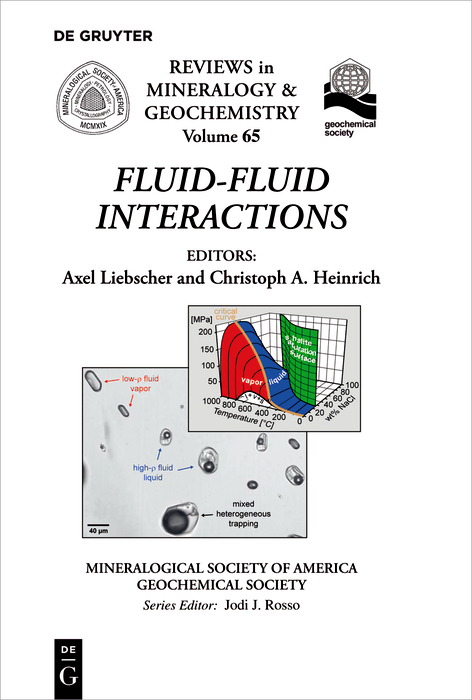 Fluid-Fluid Interactions - 