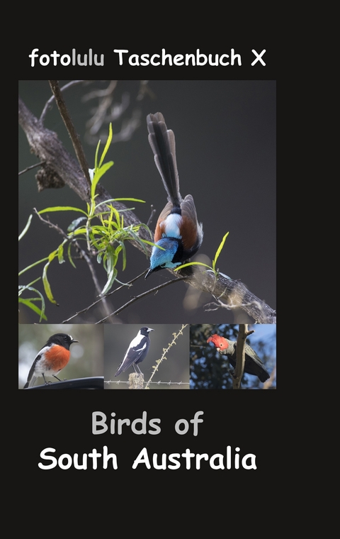 Birds of South Australia -  fotolulu