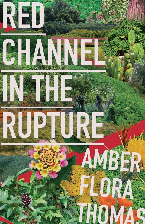 Red Channel in the Rupture -  Amber Flora Thomas