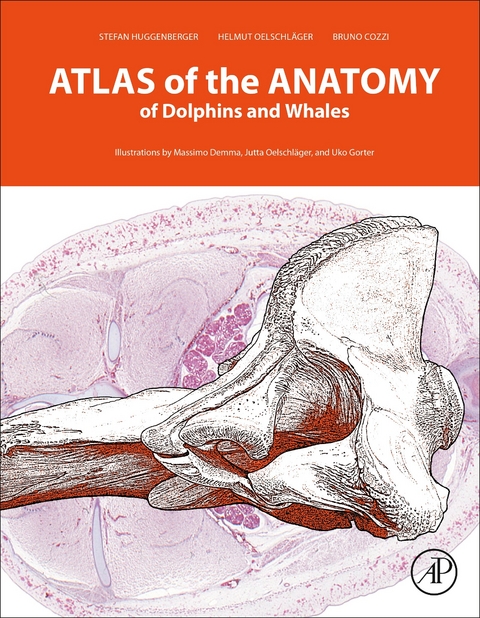 Atlas of the Anatomy of Dolphins and Whales -  Bruno Cozzi,  Stefan Huggenberger,  Helmut A Oelschlager