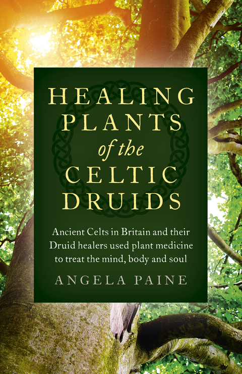 Healing Plants of the Celtic Druids -  Angela Paine