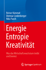 Energie,  Entropie, Kreativität -  Reiner Kümmel,  Dietmar Lindenberger,  Niko Paech