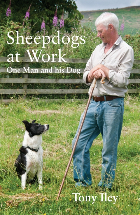 Sheepdogs at Work - Tony Iley