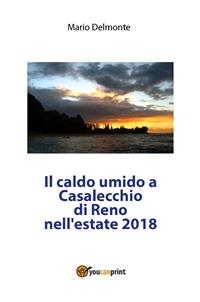 Il caldo umido notturno a Casalecchio di Reno nell'estate 2018 - Mario Delmonte