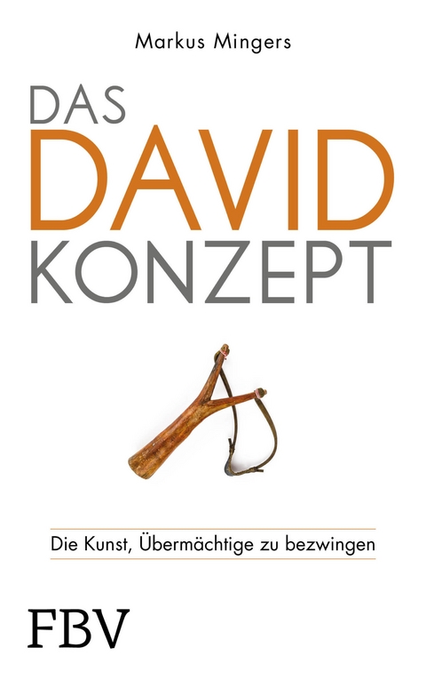 Das David-Konzept - Markus Mingers