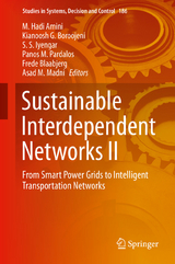 Sustainable Interdependent Networks II - 