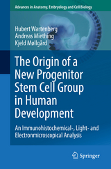 The Origin of a New Progenitor Stem Cell Group in Human Development - Hubert Wartenberg, Andreas Miething, Kjeld Møllgård