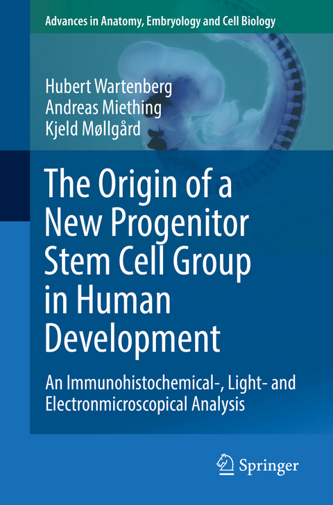 The Origin of a New Progenitor Stem Cell Group in Human Development - Hubert Wartenberg, Andreas Miething, Kjeld Møllgård