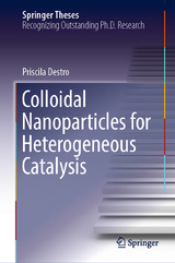 Colloidal Nanoparticles for Heterogeneous Catalysis - Priscila Destro