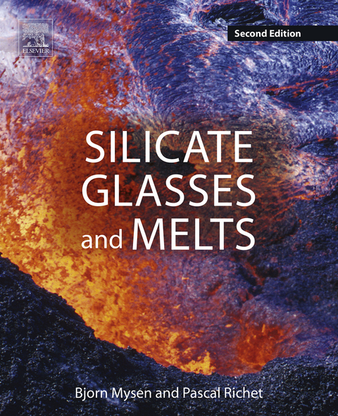 Silicate Glasses and Melts -  Bjorn Mysen,  Pascal Richet