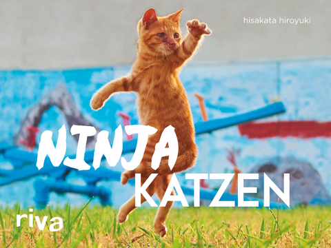 Ninjakatzen - Hisakata Hiroyuki