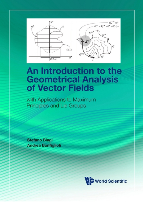 Introduction To The Geometrical Analysis Of Vector Fields, An: With Applications To Maximum Principles And Lie Groups -  Bonfiglioli Andrea Bonfiglioli,  Biagi Stefano Biagi