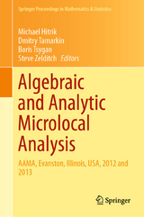 Algebraic and Analytic Microlocal Analysis - 