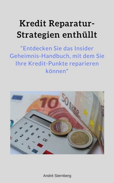 Kredit Reparatur-Strategien enthüllt -  Andre Sternberg