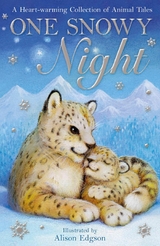 One Snowy Night - Linda Chapman, Liss Norton, Holly Webb, Candy Gourlay, Swapna Haddow, Sita Brahmachari, Michael Broad, Katy Cannon, Jeanne Willis, Leila Rasheed