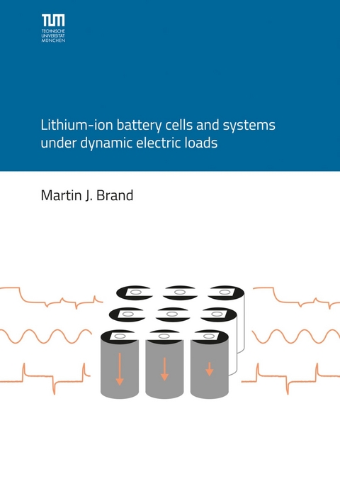 Lithium-ion battery cells and systems under dynamic electric loads -  Martin Brand