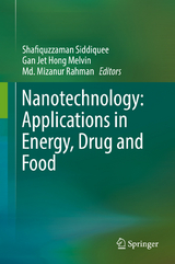 Nanotechnology: Applications in Energy, Drug and Food - 