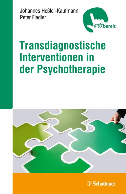 Transdiagnostische Interventionen in der Psychotherapie - Johannes Heßler-Kaufmann, Peter Fiedler