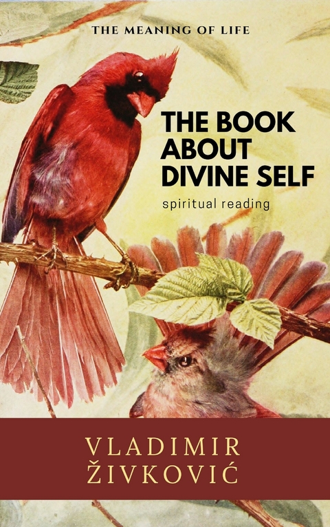 The Book About Divine Self - Vladimir Živković