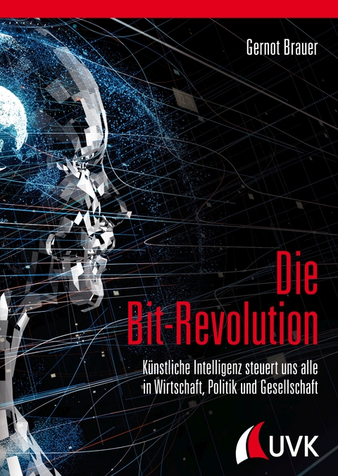 Die Bit-Revolution - Gernot Brauer