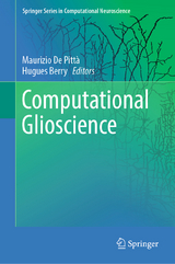 Computational Glioscience - 