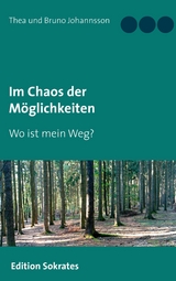 Im Chaos der Möglichkeiten - Thea Johannsson, Bruno Johannsson