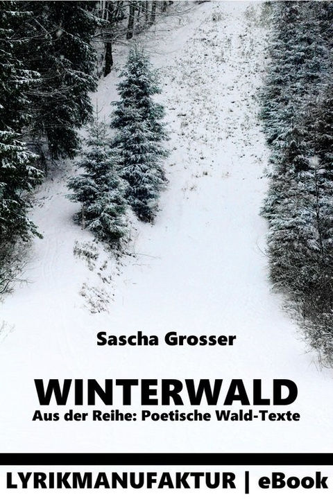 Winterwald -  Sascha Grosser