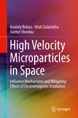 High Velocity Microparticles in Space - Anatoly Belous, Vitali Saladukha, Siarhei Shvedau