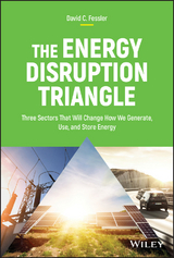 Energy Disruption Triangle -  David C. Fessler