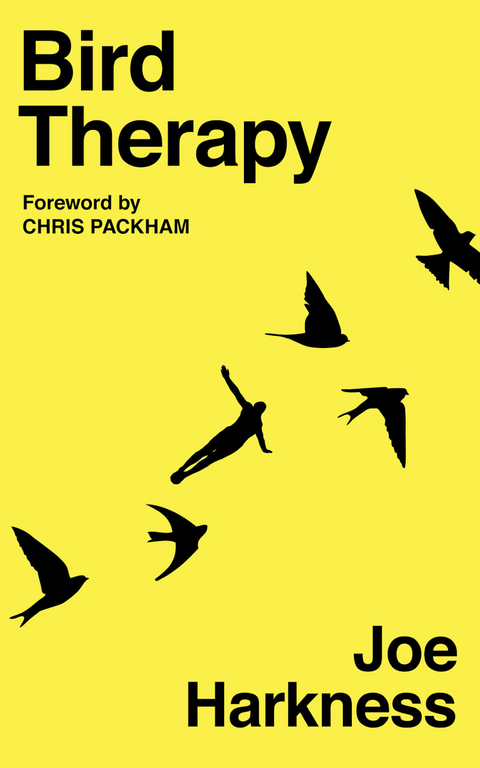 Bird Therapy -  Joe Harkness