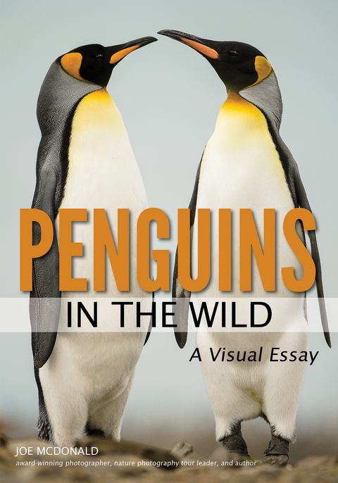 Penguins in the Wild - Joe McDonald