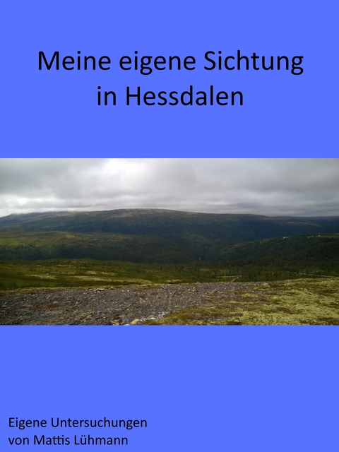 Meine eigene Sichtung in Hessdalen - Mattis Lühmann