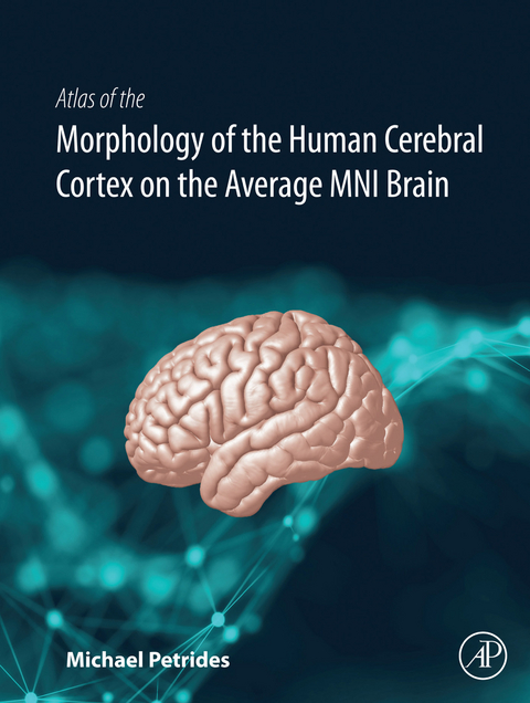 Atlas of the Morphology of the Human Cerebral Cortex on the Average MNI Brain -  Michael Petrides