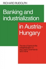 Banking and Industrialization in Austria-Hungary - Rudolph, Richard L.