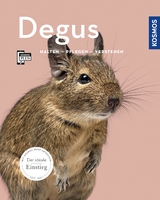 Degus - Christine Wilde