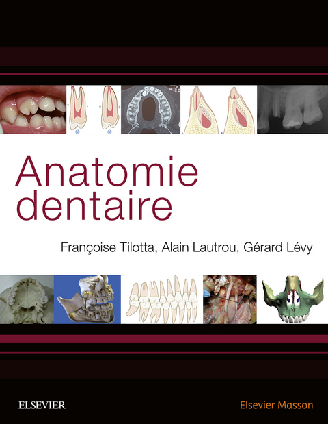 Anatomie dentaire -  Alain Lautrou,  Gerard Levy,  Francoise Tilotta