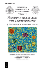Nanoparticles and the Environment - 