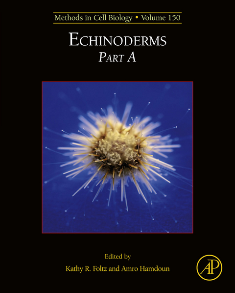 Echinoderms - 