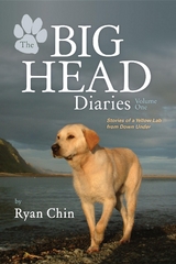 The Big Head Diaries, Volume 1 - Ryan Chin