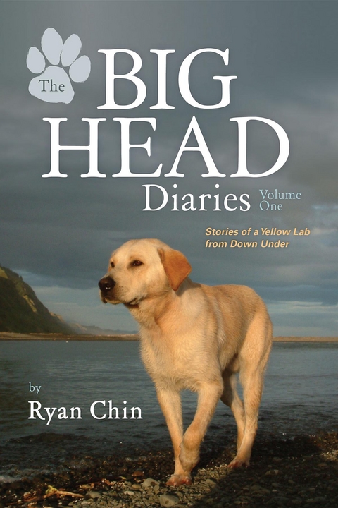 The Big Head Diaries, Volume 1 - Ryan Chin