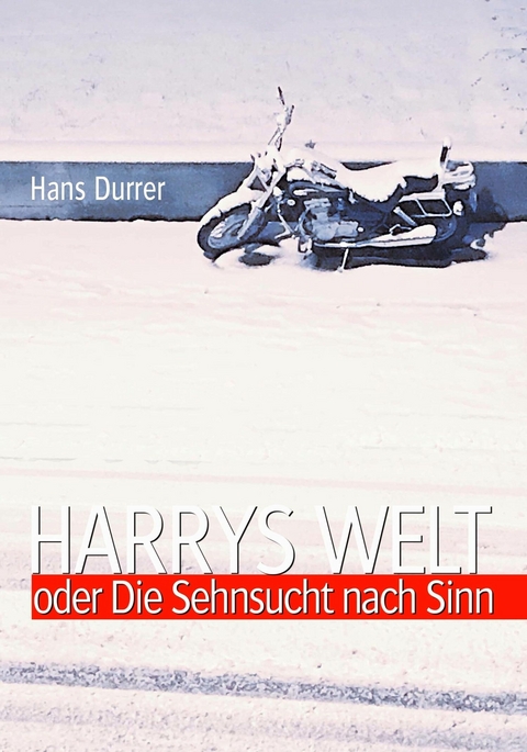 Harrys Welt oder Die Sehnsucht nach Sinn - Hans Durrer